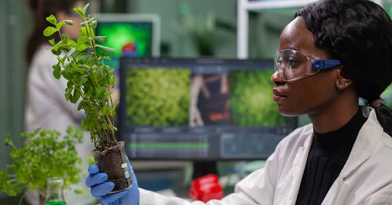 Sciences de l'environnement